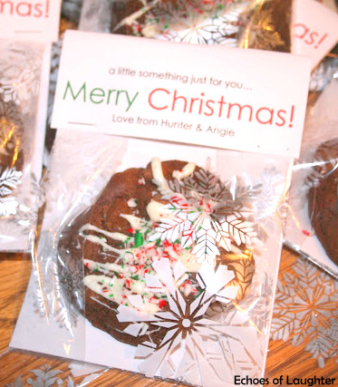 Packaged Christmas Cookie Gift Idea