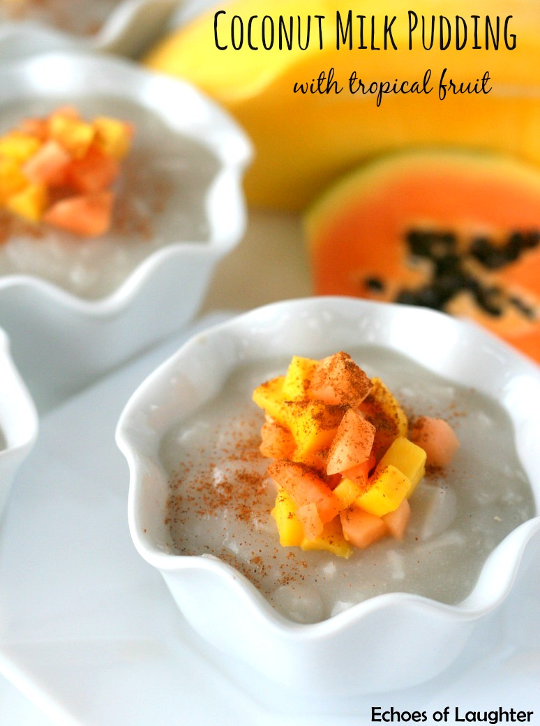 Coconut Milk Pudding with Tropical Fruit {Gluten Free, Dairy Free