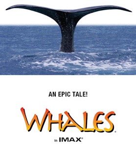 whales….
