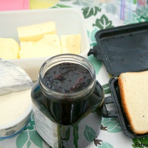 Camping Cuisine Part 4: Blueberry & Cream Cheese Dessert