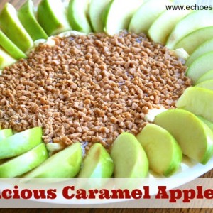 Decandent Caramel Apple Dip…