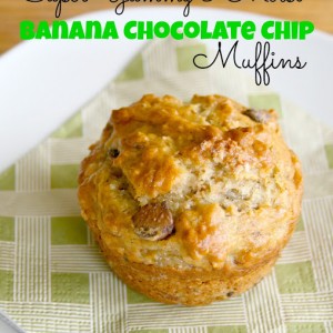 Banana Chocolate Chip Muffins