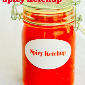 Spicy Ketchup