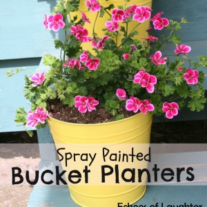 Spray Painted Bucket Planters…