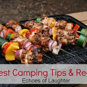 11 Best Camping Tips & Recipes…