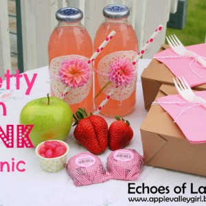 A Pretty In Pink Picnic