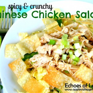 Spicy Chinese Chicken Salad