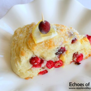 Lemon Chip &  Sweet Cranberry Scones