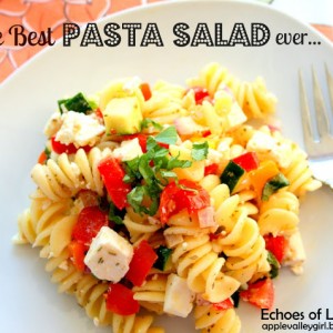 The Real Best Pasta Salad Ever….It’s Not Gloppy, Runny, or Soggy!