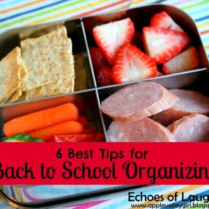 6 Best Organizing Tips for Back To School