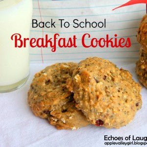 Breakfast Cookies