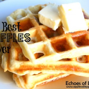 The Best & Easiest Waffles Ever…