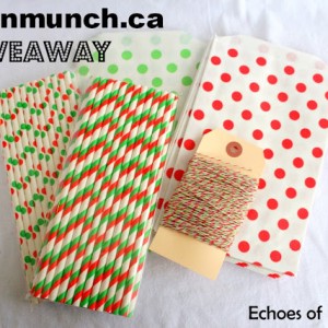 Fantastic Eco-Friendly Stocking Stuffers & Greenmunch Giveaway!