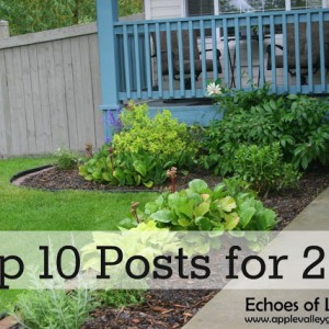 Top 10 Favorite Posts of 2012 & Thank You!