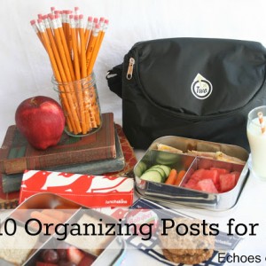 Top 10 Organizing Projects & Tips from 2012…