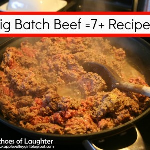 Easy Big Batch Beef Recipe