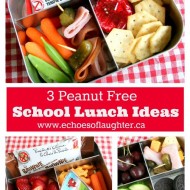 3 Peanut Free School Lunch Ideas