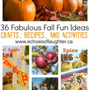 36 Fabulous Fall Fun Ideas