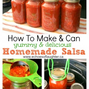 How To Make & Can A Delicious Salsa