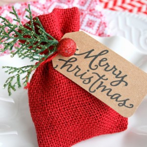 Gift Card Bag or Christmas Table Favor