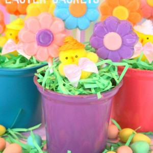 Flowers & Chicks Easter Baskets {Craft}