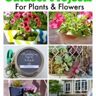 6 Amazing Flower & Plant Projects