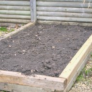 Designing & Growing A New Flower Bed