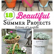 18 Beautiful Summer Projects