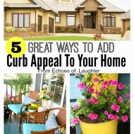 5 Ways To Create Great Curb Appeal