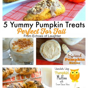 5 Yummy Pumpkin Treats Perfect For Fall