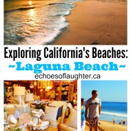 Exploring California’s Beaches: Laguna Beach
