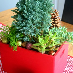 DIY Christmas Planter Box