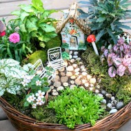 How To Make A Fairy Garden & 4 Other Fabulous Outdoor Plant & Flower Projects for the Outdoor Extravaganza 2015!