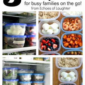 5 Tips For Prepping Meals For Busy Families On the Go!