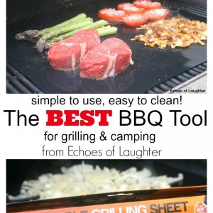 The Best BBQ Tool for Summer Grilling & Camping