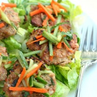 Asian Turkey Slider Salad